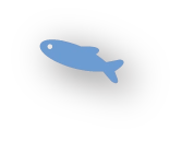 魚
