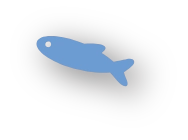 魚